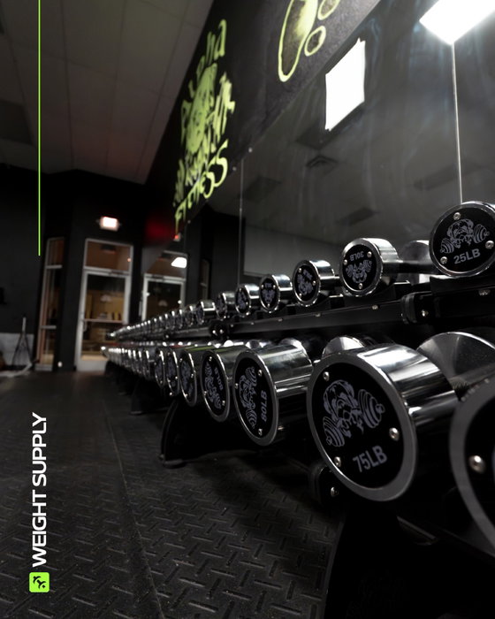 Opening a gym or expanding to multiple locations comes down to managing capital the right way.

Free weights are one of the largest line ite