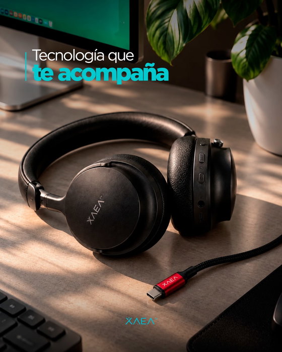 ZYFER para escuchar.
ZEUS para cargar.

Todo lo que necesitás, en un mismo setup.

XAEA. Tecnología que acompaña tu ritmo.