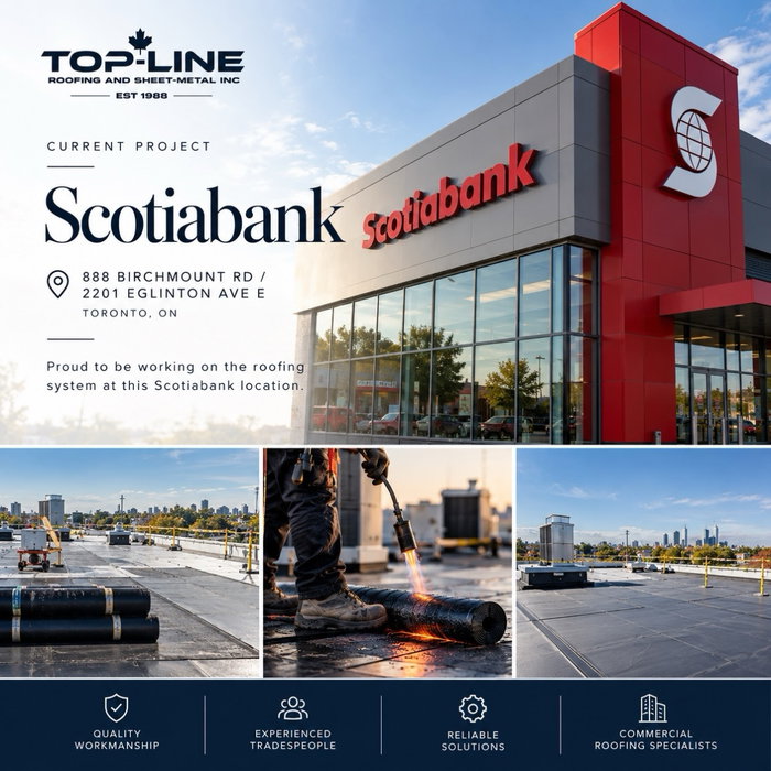 🏗️ PROJECT SPOTLIGHT | SCOTIABANK

Another project underway!

Top-Line Roofing & Sheet-Metal Inc. is proud to be working on the roofing system at the Scotiabank property located at 888 Birchmount Rd / 2201 Eglinton Ave E, Toronto.

From commercial properties to large-scale institutional facilities, our team brings decades of experience, quality workmanship, and dependable roofing solutions to every project.

Built on Experience. Focused on Protection.

📍 Toronto, Ontario
🌐 www.toplineroofing.ca
📞 (905) 602-0760