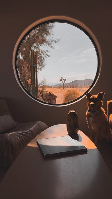 Your phone is in timeout. So are you. Downtown Joshua Tree is minutes away, if you ever want it.…