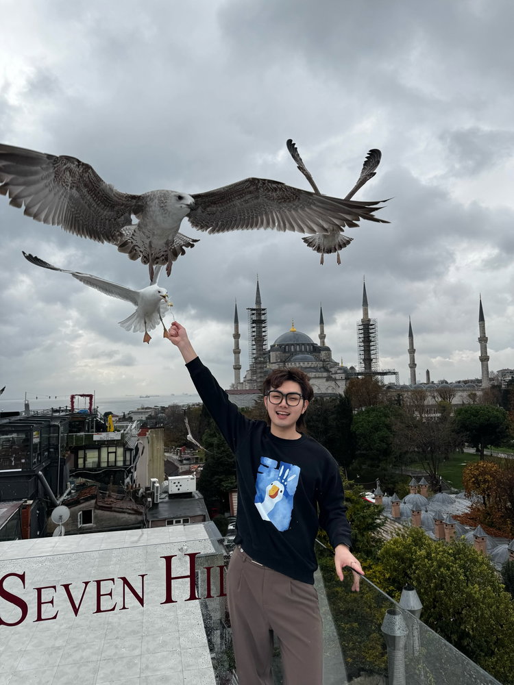 🕊️