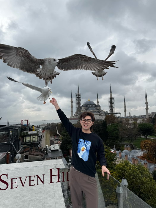 🕊️