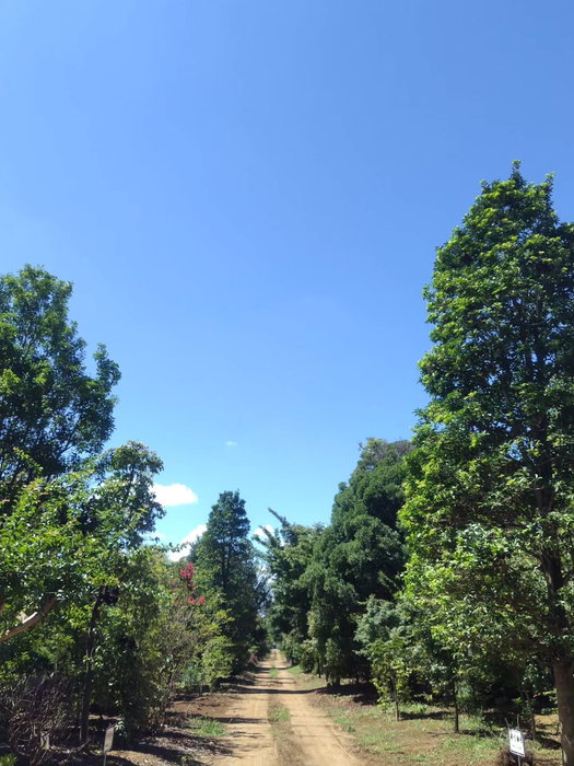夏季休業のお知らせ 平素は格別のお引き立てをいただき厚くお礼申し上げます。 弊社では、誠に勝手ながら下記日程を夏季休業とさせていただきます。 ■夏季休業期間 2026年8月9日(日)～8月16日(日) 休業期間中にいただいたお問合せについて…