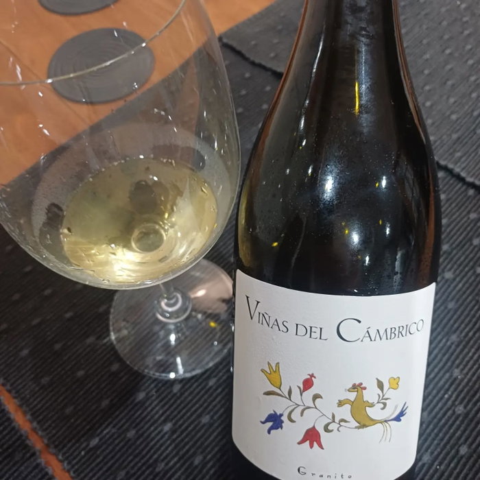 Vines del Cambrico Rufete Blanco Granito 2017. I bought this from the UK importer as a bin end, at 9 years I thought tha