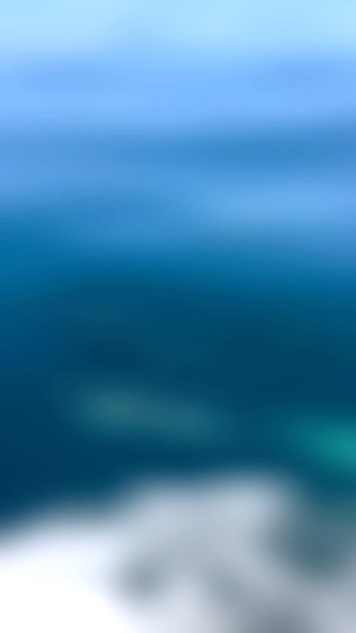 There’s been a lot of hitchhikers in the channel lately…