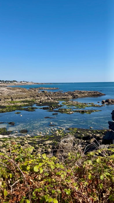 Je t’emmène avec moi dans mon premier mois d’août en tant que jeune photographe 