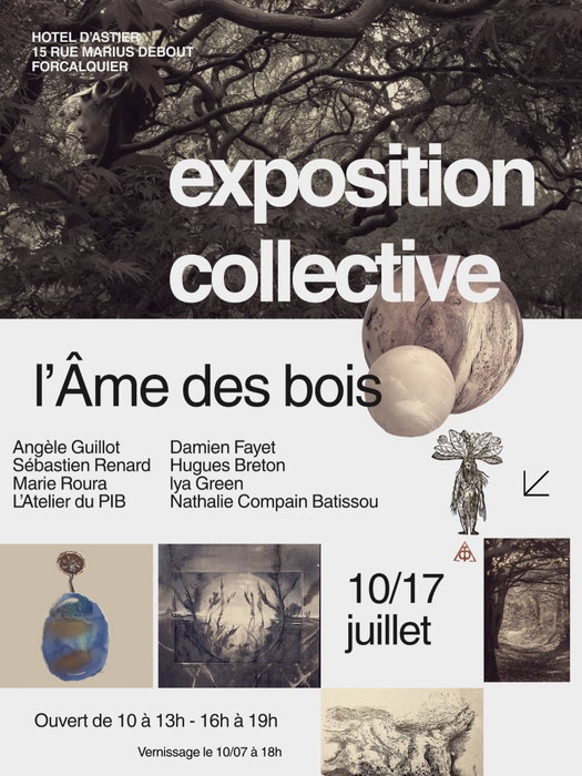 Du 10 au 17 juillet à l’Hotel d’Aster à Forcalquier, l’exposition L’Âme des Bois vous invite à explo