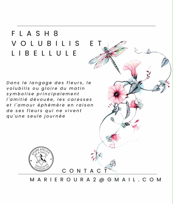 FLASH 8 //// RÉSERVÉ ✨✨
VOLUBILIS ET LIBELLULE

Pour réserver ce flash, envoyez-moi un mail à marier