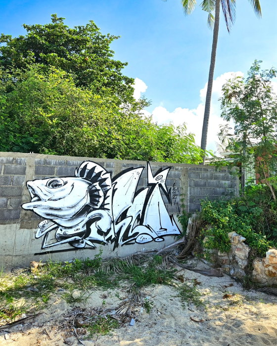 Fishheadboy Koh Phangan Edition πΉππ«‘
More beach spots in life!