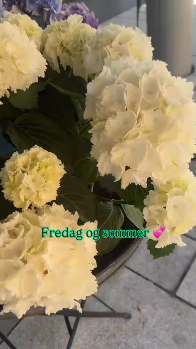 Dropp kuttingen i dag og kjør på med ferdigretter, ostefat eller snacks!😜☀️🥂