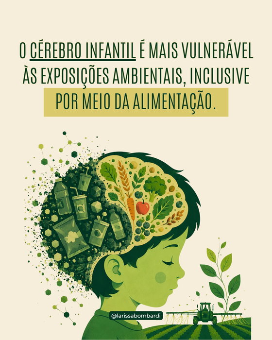 O desenvolvimento do cérebro é um dos processos biológicos mais complexos da vida. Durante a infância, a intensa formação de conexões neurais torna esse período especialmente sensível às exposições ambientais.

É nesse contexto que o artigo discute levantamentos do IDEC que identificaram resíduos de agrotóxicos em alimentos destinados à primeira infância, incluindo substâncias pertencentes aos grupos dos organofosforados e piretroides, reconhecidos por sua ação sobre o sistema nervoso.

Mais do que um debate sobre alimentos, trata-se de uma discussão sobre neurodesenvolvimento, segurança alimentar e proteção da infância. Ampliar o acesso a alimentos saudáveis, fortalecer a fiscalização e formular políticas públicas baseadas em evidências são medidas essenciais para reduzir riscos e promover um ambiente alimentar mais seguro.

📖 Conteúdo baseado no artigo Alimentos ultraprocessados e agrotóxicos: duplo veneno para o cérebro. Link na bio.