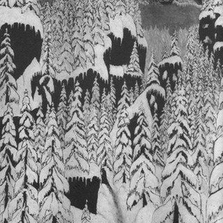 https://calcuttarecords.com/shop/schattengang-paysage-dhiver-audio-cd-arrives-in