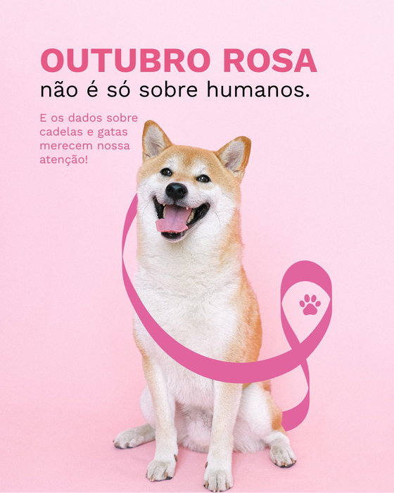 Post Instagram König Brasil