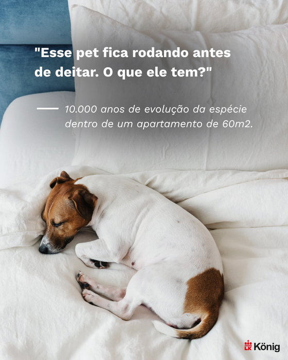 Post Instagram König Brasil