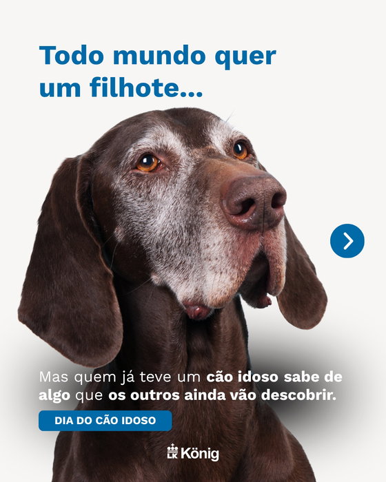 Post Instagram König Brasil