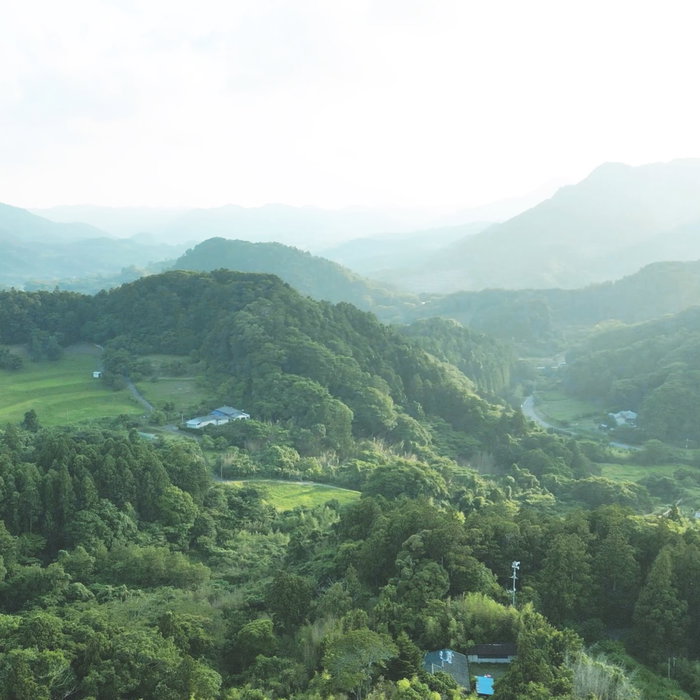2026年５月。千葉県の南房総で、約3400坪の土地と小さな家を購入しました。
購入した理由、経緯としては
・地主さんからのご厚意があったこと
・自然と共に暮らす事が自分にとってのエネルギーとなる事
・南房総と住んでいる土地が好きである事
・水や空気、土の動きを山全体で把握して改善したい事
・企業に土地を買われて太陽光パネルの風景にしたくない事
・パーマカルチャーを実践したい事
・自伐型林業を実践してみたい事
・撮影スタジオをつくってみたい
・宿も運営してみたい
・何より気持ちの良い場所、風景にしたい

などの理由があります。

家の屋号が「こうえきば」　という名前から
KOUEKIBA PROJECT として、立ち上げました。

約6年間、山暮らしの中で伐採活動をしてきましたが、一人で行うことの限界を感じています。
屋号にあるように「交易」（交流）できるような、ひらかれた場所にできたらと思います。

活動については、こちらでお知らせ致します。
どうぞよろしくお願い致します。