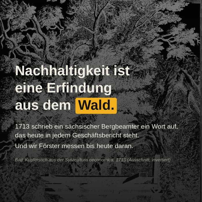 Waldfakten Nr.3: Nachhaltigkeit ist eine Erfindung aus dem Wald.

1713 erscheint in Leipzig die «Sylvicultura oeconomica