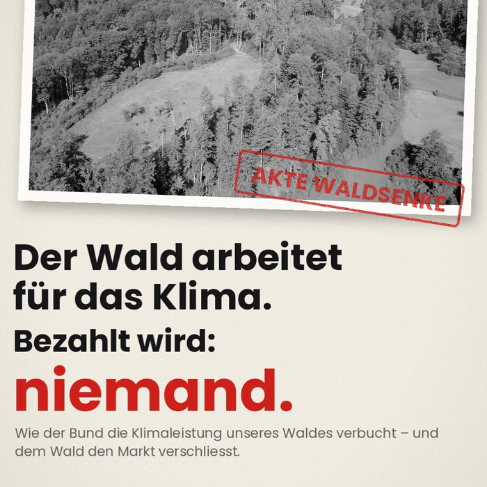 Der Wald arbeitet für das Klima. Bezahlt wird: niemand. 🌲

3,4 Grad wärmer als normal – der heisseste Sommer seit Messb