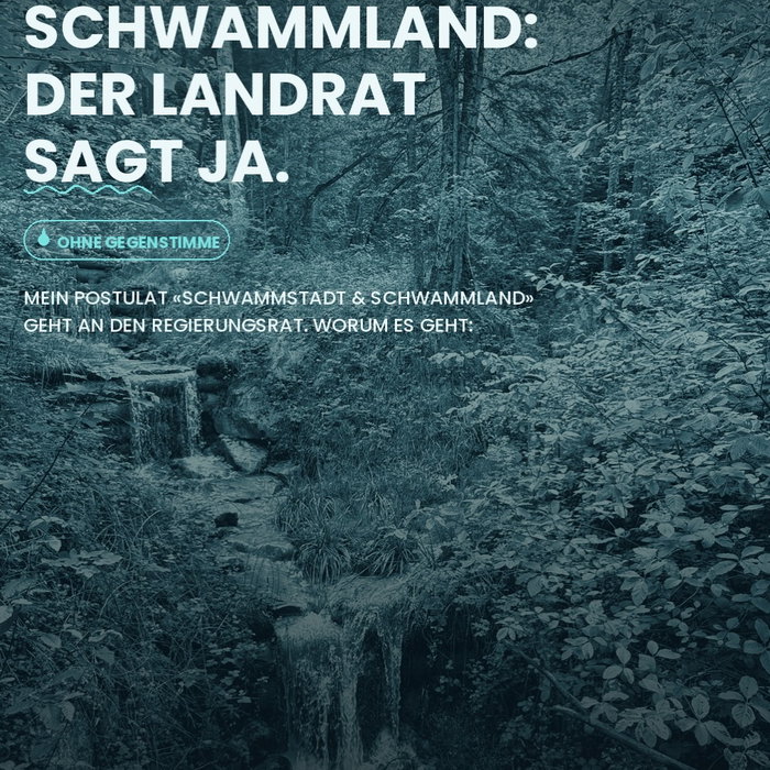 Ohne Gegenstimme: Der Landrat sagt Ja zu meinem Postulat «Schwammstadt & Schwammland».

Die Idee: Wasser speichern statt