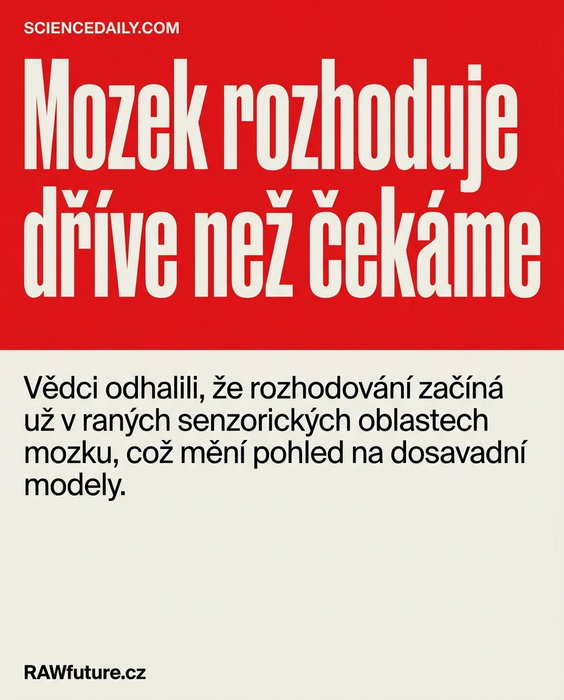 Rozhodovací proces v mozku začíná dříve, než jsme si mysleli. Studie odhalila, ž