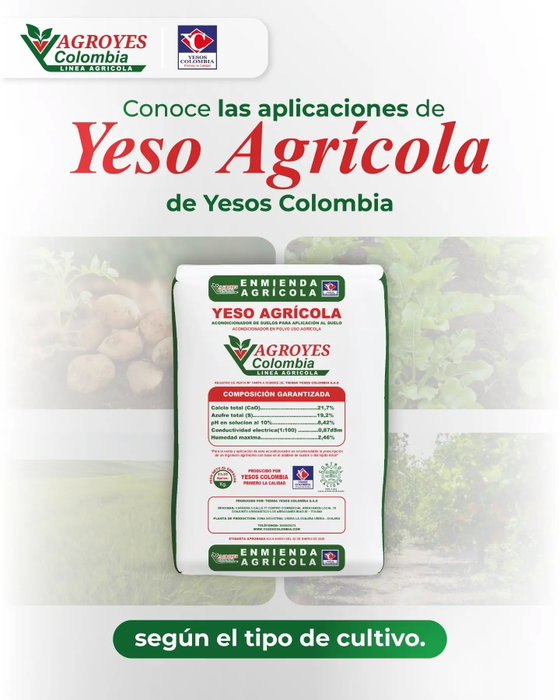¿Cultivas papa, flores, hortalizas, frutales o pastos? En este carrusel te contamos algunas de la…