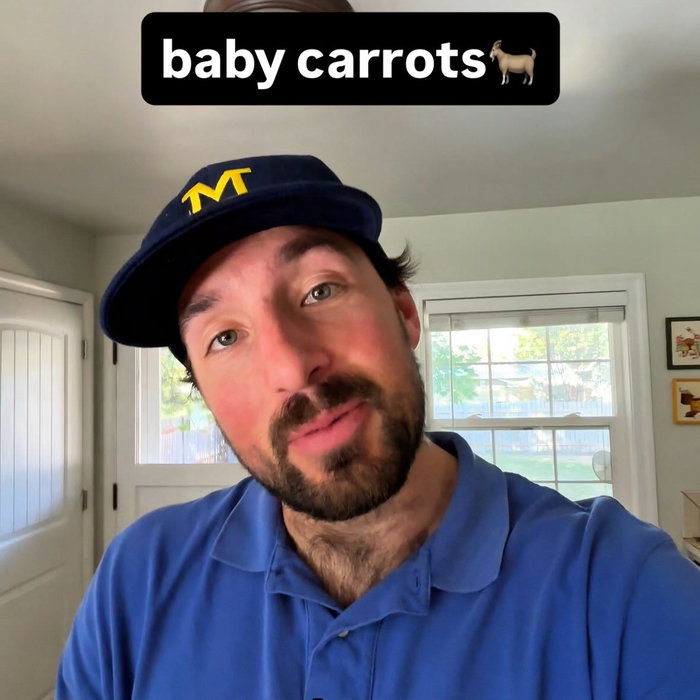 baby carrots are cravings worst enemy
1:1 online fitness coaching: DM “flow” to chat more