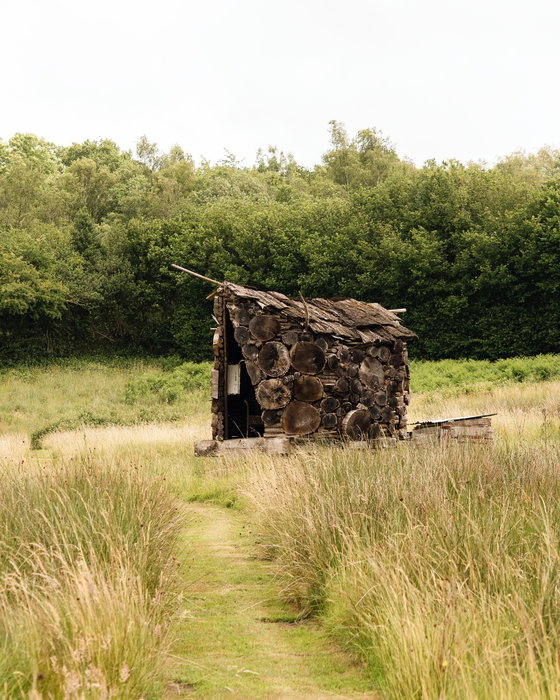 Some of our favourite homes come with hidden treasures ...

A whimsical field hut at Cedar Swiffe Fa