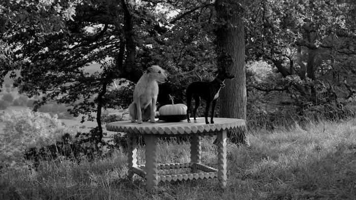 Coming soon: a meditation on making with designer and craftsman Rollo Dunford Wood (@rollodunfordwoo