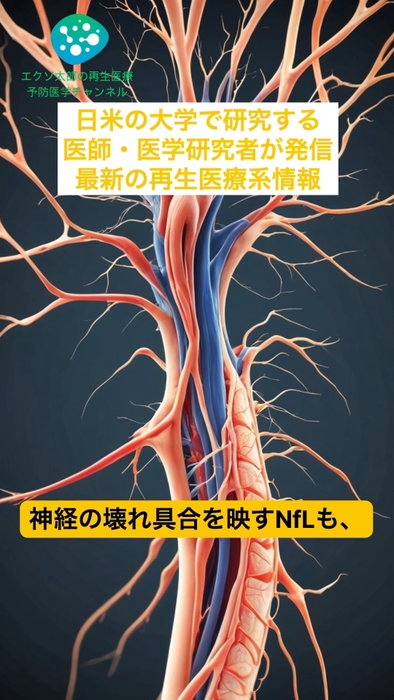 「幹細胞でALSは治るのか」第3相の答え｜主要評価項目は達成されず、それでも動いたもの｜Muscle & Nerve 2022 本編動画↓ https://youtu.be/LP7jdCRauFg 自分の骨髄から採った間葉系幹細胞（MSC）を、神経栄養因子を高レベルで分泌するよう