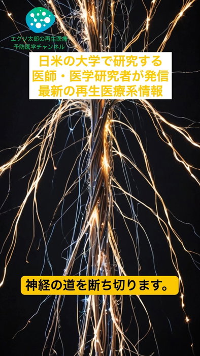 考えるだけで麻痺した手が動き、触覚も戻る｜脳と脊髄をつなぐ「二重神経バイパス」｜Nature Medicine 2026 首から下が完全に麻痺した（C4/C5 完全麻痺）男性が、考えるだけで自分の手を動かし、握った物に「触れた」感覚まで得られるように——。米ファインスタイン医学研