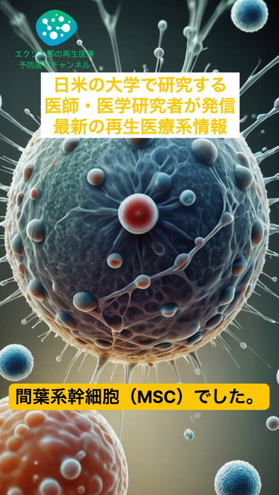 膵臓のβ細胞は幹細胞に「応援」を頼んでいた｜miR-151小胞が明かす“自己救済”｜Science Advances 2026 肥満でインスリンが効きにくくなると、膵臓のβ細胞は数を増やし働きを高めて糖尿病を食い止めます（β細胞代償）。中国薬科大学などのチームは、この非常時にβ細