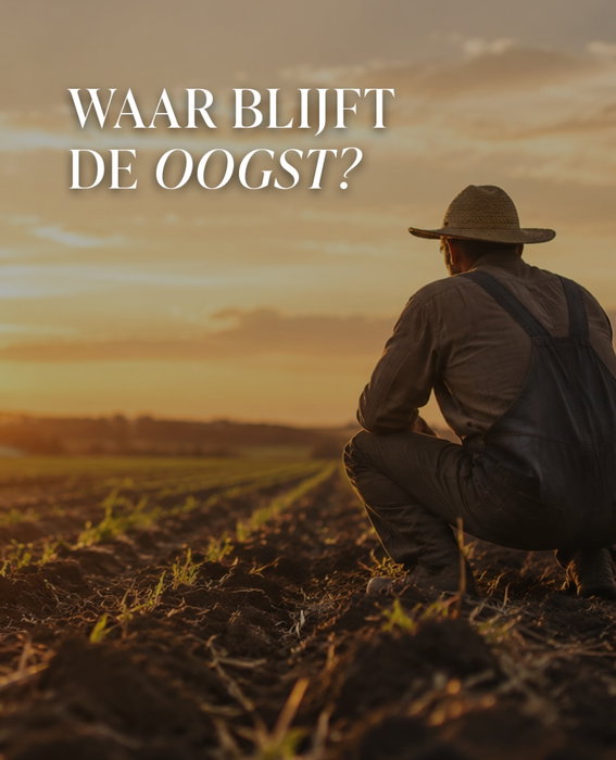 De vakantieperiode is bijna ten einde. Waar sommige mensen alweer helemaal in het ritme zitten, genieten anderen van hun laatste vakantieweek die bijna ingaat.

We heten je graag van harte welkom in onze diensten zondag. Dan hervatten we onze reguliere tijden. We komen samen om 09.30 uur en 11.45 uur.

Annemarie ten Brinke zal spreken over het thema ‘Waar blijft de oogst?’ We kijken uit naar haar komst en de woorden die ze zal spreken.

We zien je graag zondag, als vanouds in 1 van onze diensten. De koffie en thee zullen voor je klaarstaan.