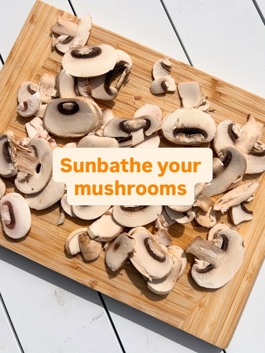 Vitamin D is hard to get from food, but mushrooms 🍄 have a secret trick 🤓
Vitamin D is important for strong bones 🦴