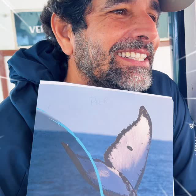 Não é todo dia que a gente tem a oportunidade de falar sobre baleias com quem dedica a vid, Instagram @atlantesviagens