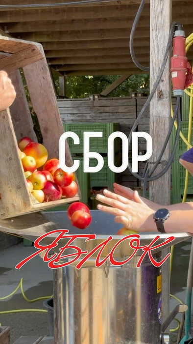 🍎 Осень - время яблок, и в Люксембурге это не тол