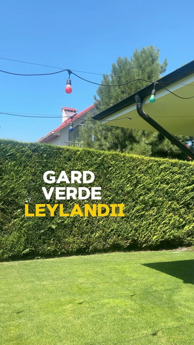 Vrei un gard verde care sa te bucure tot anul împrejur? Alege un gard verde din Leylandii. Mai ales ca le poți procura acum cu 15% reducere la Alex Garden.

❗️Calea Orheiului 112/1, Chișinău
❗️Buiucani 9A, Dumbrava