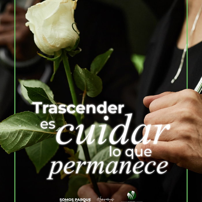 El amor verdadero no se despide, sencillamente trasciende.

Permanece en los rec