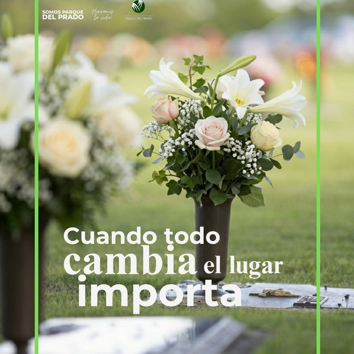 Hay momentos que lo cambian todo. Y en esos instantes, el lugar donde despides a