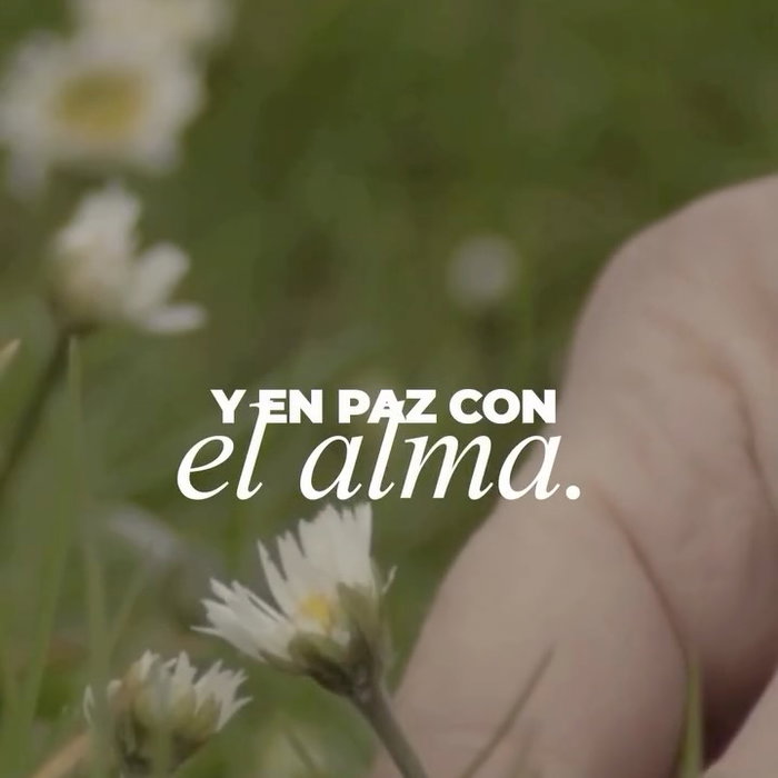 Hay lugares donde las despedidas no significan un adiós… sino el comienzo de 
