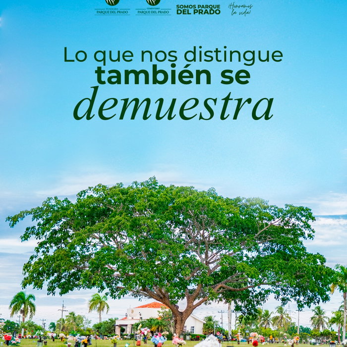 La calidad también se siente en la forma en que cuidamos cada detalle.

Trabaja