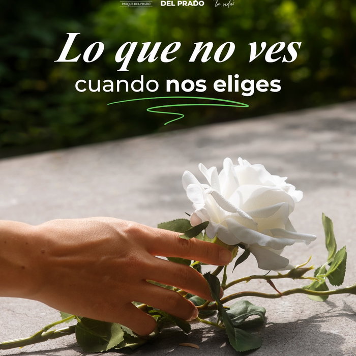 Hay cuidados que se notan.
Y otros que, aunque no se vean, hacen toda la diferen