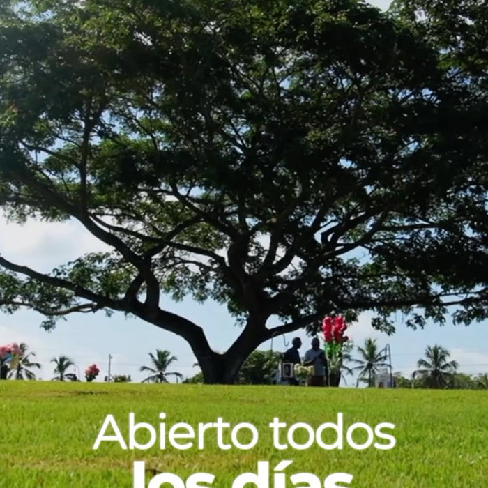 Solo es cuestión de un recuerdo que quieras sentir cerca.

Ven a recordar, a ho