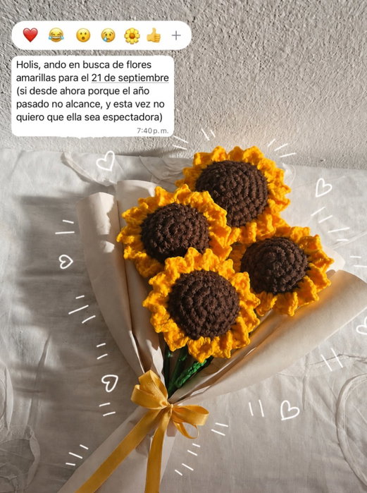 Publicación de @ganchillogatuno en Instagram
