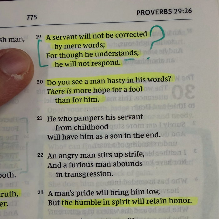 What are your thoughts on Proverbs 29:19?

I thought I’d share my understanding of this verse.

I’ve discovered there’s 