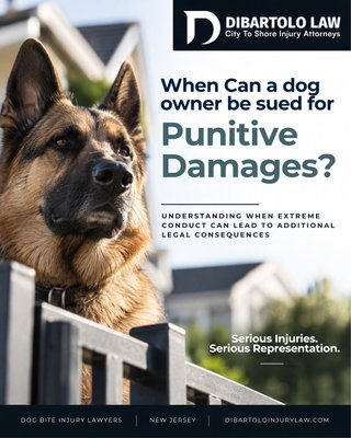 If you or a loved one has been attacked by a dog, our dog bite lawyer at DiBartolo Law can help you understand compensation for medical bills and lost wages, as well as whether your case may qualify for rare punitive damages. Most dog bite cases seek ‘compensatory damages,’ but New Jersey law allows punitive damages only in limited and extreme cases.

Learn more: https://www.dibartoloinjurylaw.com/blog/when-can-dog-owner-be-sued-for-punitive-damages/