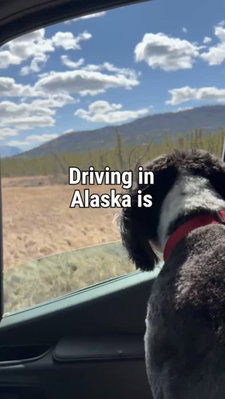 How do you describe the feeling of driving in Alaska to someone who hasn't lived it? 

#alaska #mccarthyalaska #nationalparks