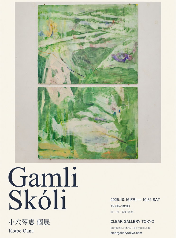 小穴琴恵 個展「Gamli Skóli」 — exhibition record