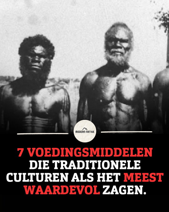Onze voorouders aten niet alleen om hun maag te vullen.

Ze aten om hun lichaam te voeden.