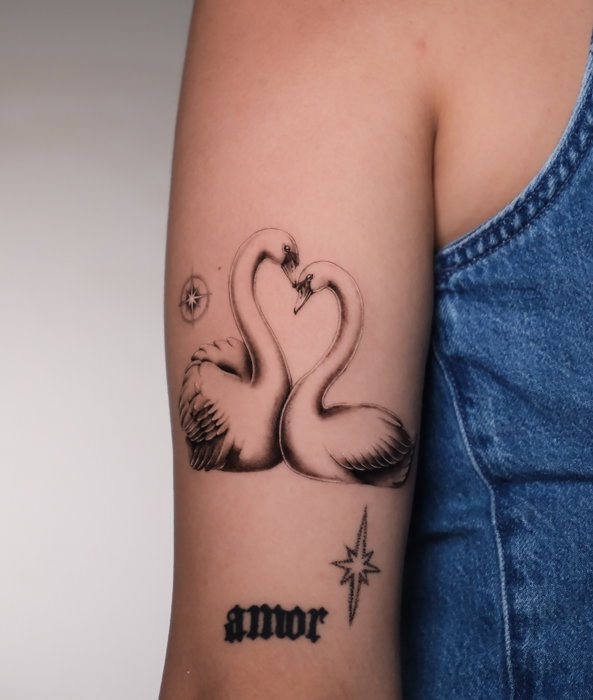 Dos cisnes con un destellito 💫