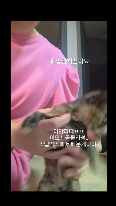 캣프로젝트 인스타그램 이미지 3